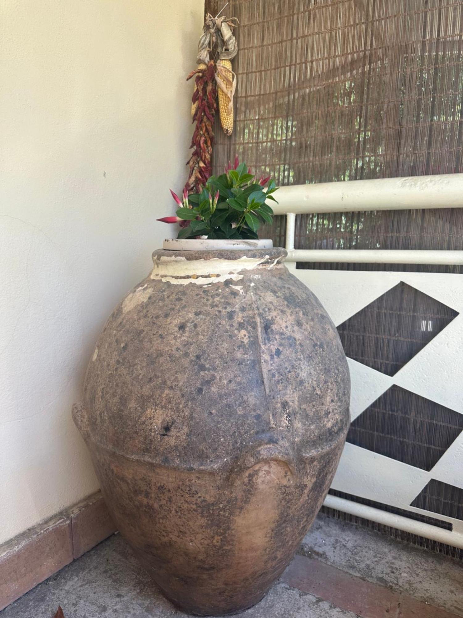 Agri Resort Masusa Aquara 外观 照片